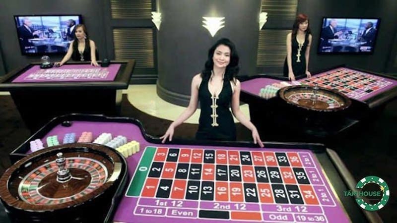 Dealer chia bài trong Casino